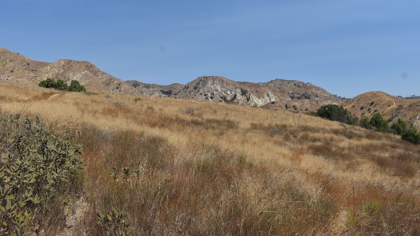 Alison Canyon Restoration