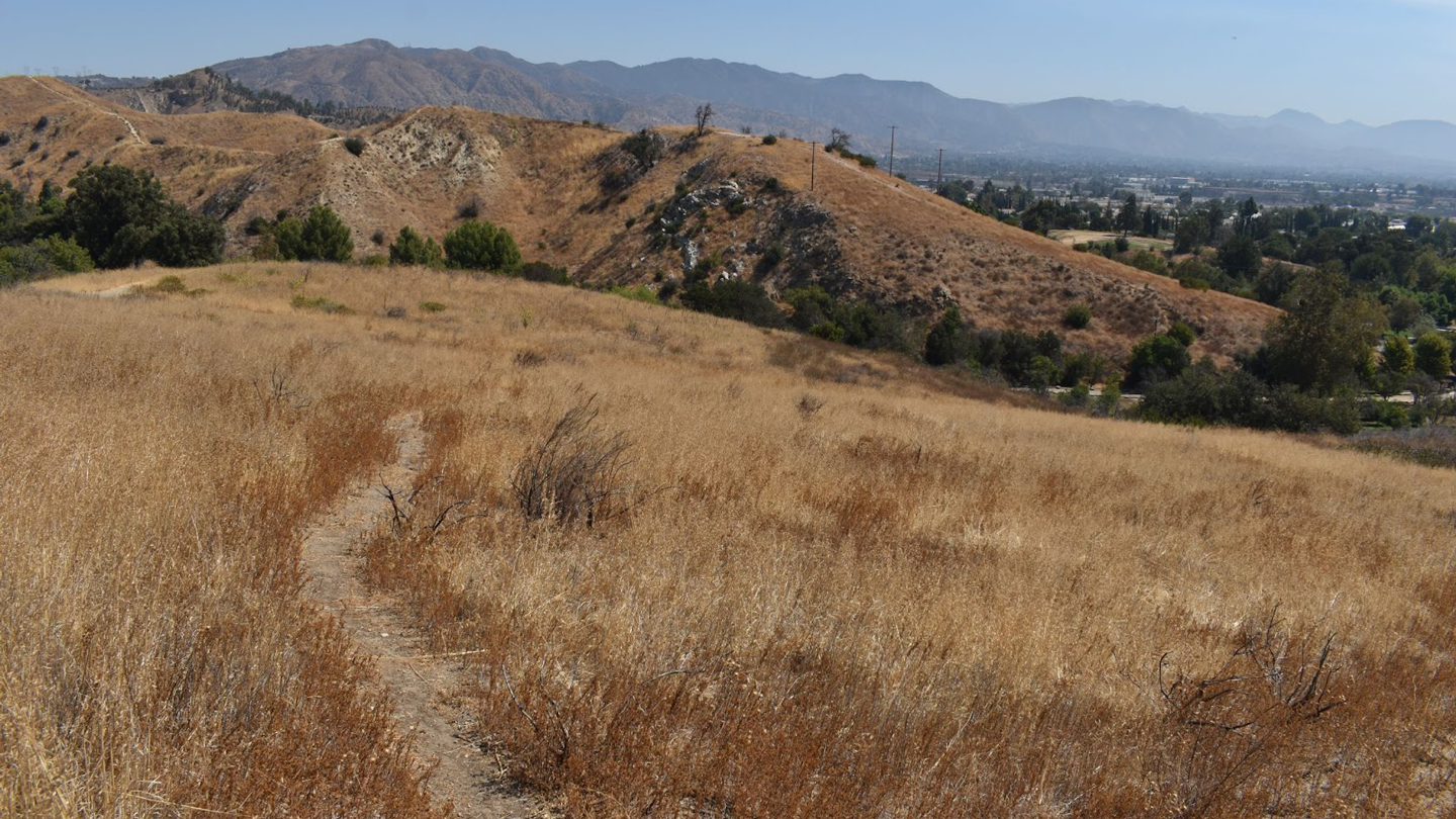 Alison Canyon Restoration