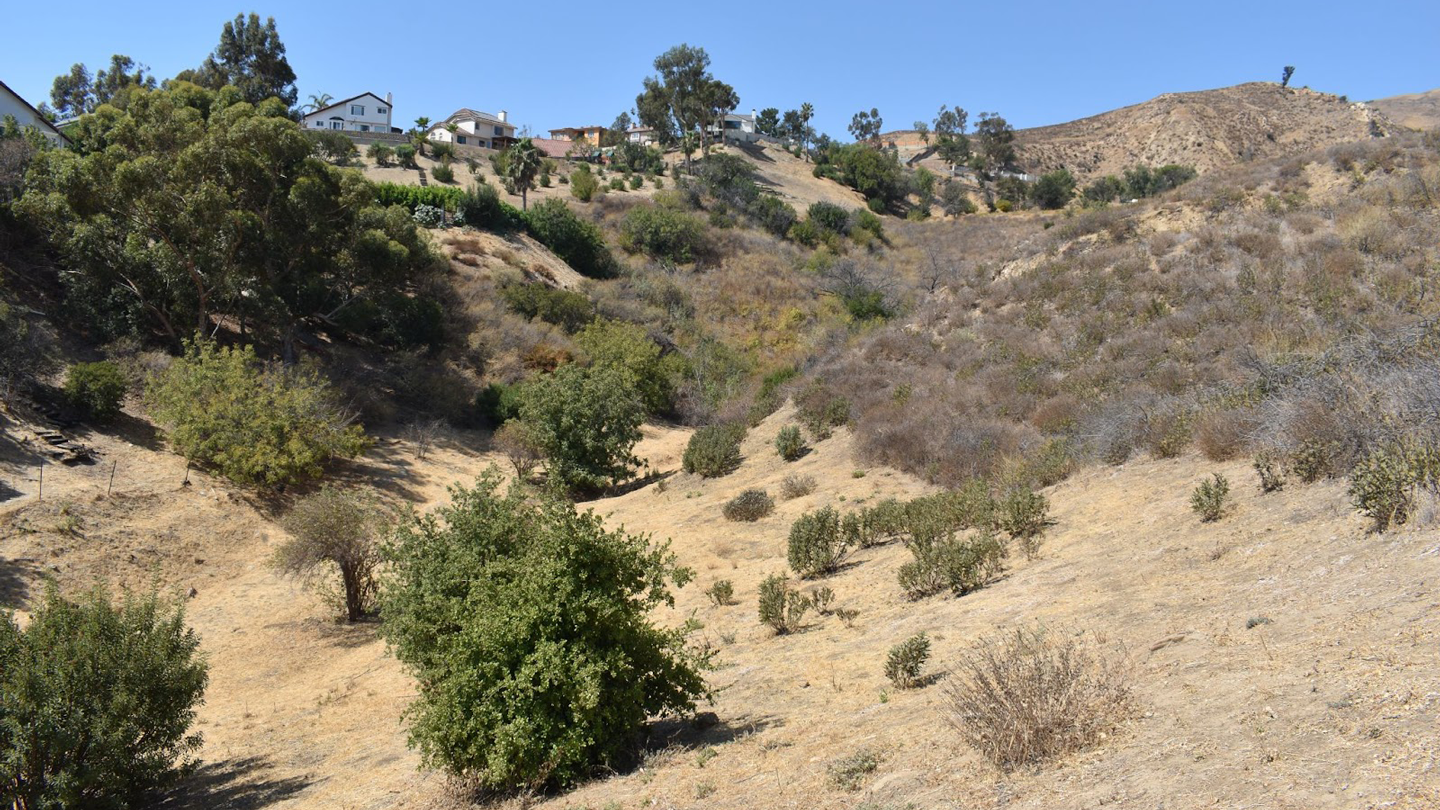 Alison Canyon Restoration