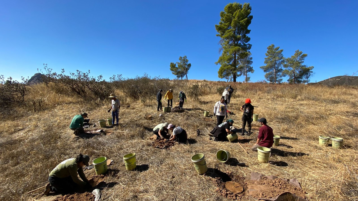 Castaic and Lake Hughes Oak Restoration
